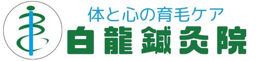 白龍鍼灸院|AGA育毛鍼灸|薄毛 発毛 を はり治療とカウンセリングでケア